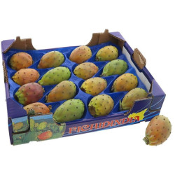 FIGUE DE BARBARIE 16PCS